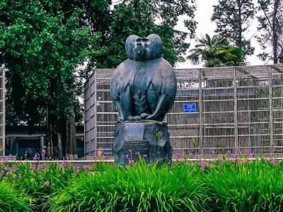 Памятник обезьянам