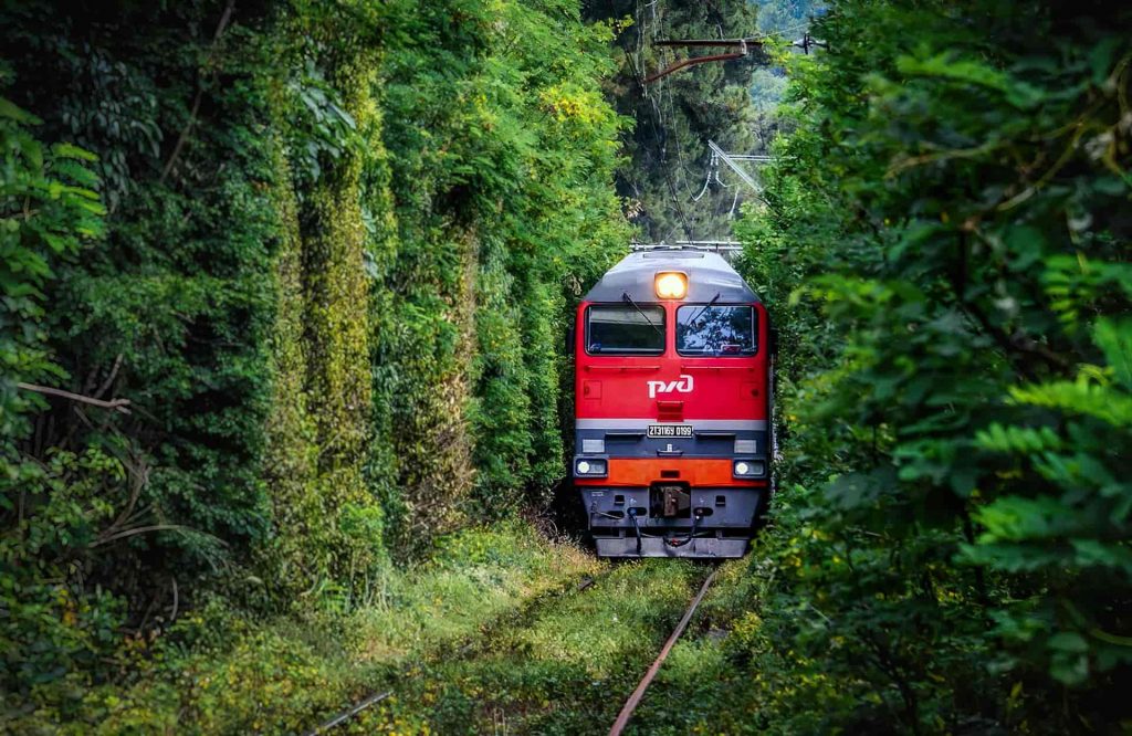 Тепловоз 2ТЭ116У-0199 с пассажирским поездом следует по перегону Гагра - Цандрыпш, Абхазия